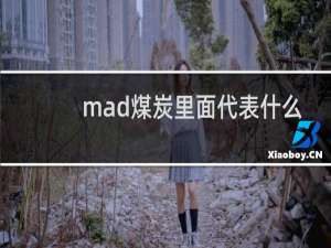 mad煤炭里面代表什么