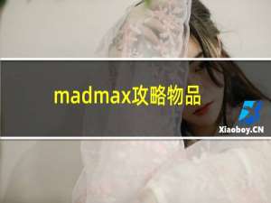 madmax攻略物品