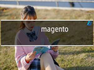 magento php