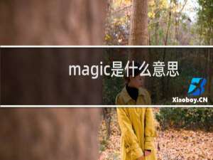 magic是什么意思