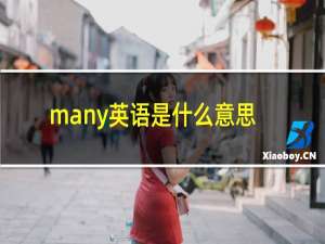 many英语是什么意思