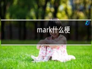 mark什么梗