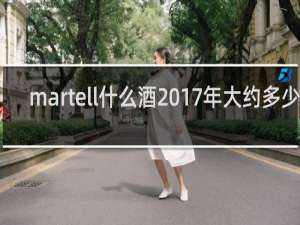 martell什么酒2017年大约多少钱