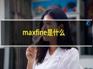 maxfine是什么牌子（maxleaf品牌的中文名是什么）