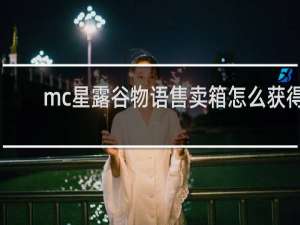 mc星露谷物语售卖箱怎么获得