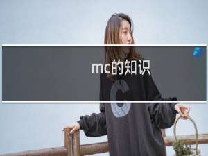 mc的知识