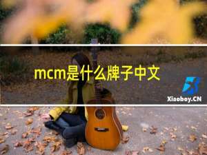 mcm是什么牌子中文名（JmixP品牌的中文名是什么）