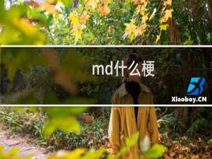 md什么梗