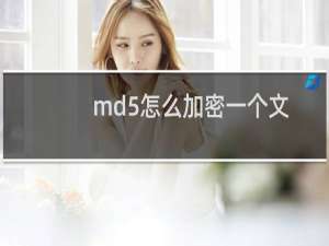 md5怎么加密一个文件（md5怎么下载）
