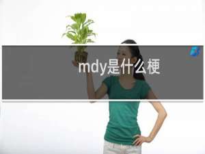 mdy是什么梗