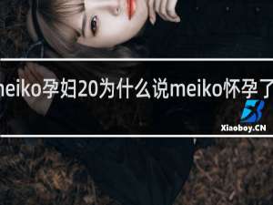 meiko孕妇 为什么说meiko怀孕了什么梗