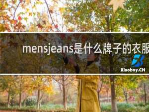 mensjeans是什么牌子的衣服