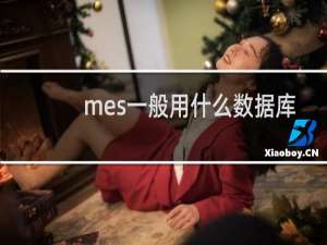mes一般用什么数据库