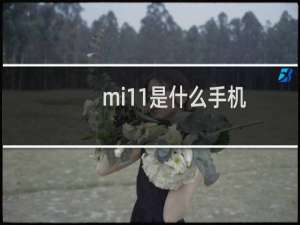 mi11是什么手机