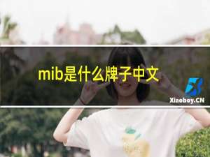 mib是什么牌子中文名（mib是什么牌子）