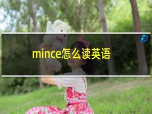 mince怎么读英语