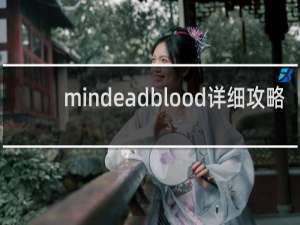 mindeadblood详细攻略