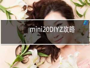 mini DIYZ攻略