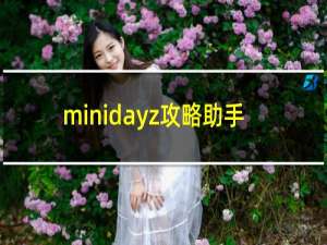 minidayz攻略助手