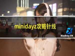 minidayz攻略针线