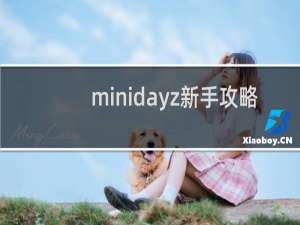 minidayz新手攻略
