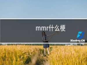 mmr什么梗？什么梗