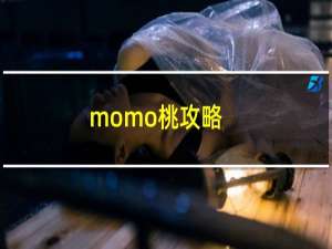 momo桃攻略
