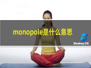 monopole是什么意思