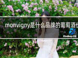 monvigny是什么品牌的葡萄酒价格