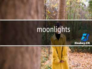 moonlightshadow什么意思