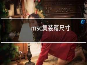 msc集装箱尺寸