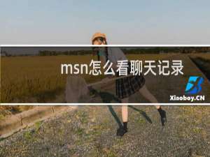 msn怎么看聊天记录