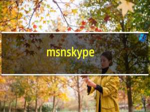 msnskype（msn skype）