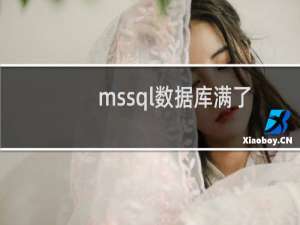 mssql数据库满了？-虚拟主机/数据库问题