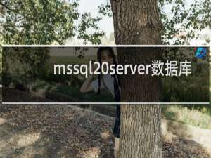 mssql server数据库