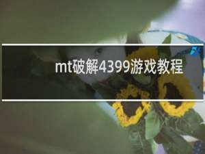 mt破解4399游戏教程
