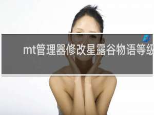 mt管理器修改星露谷物语等级