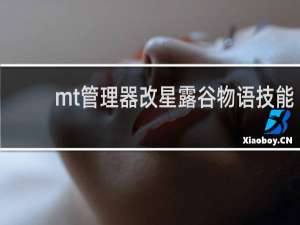 mt管理器改星露谷物语技能