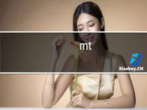 mt-eco.com网站无法访问