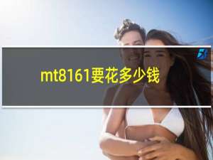 mt8161要花多少钱