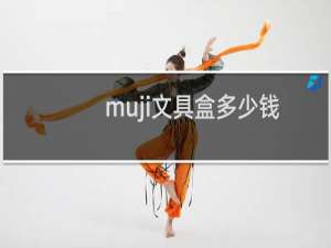 muji文具盒多少钱