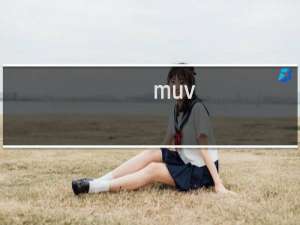 muv-luv攻略