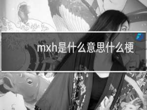 mxh是什么意思什么梗