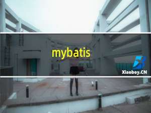 mybatis-plus拼接sql