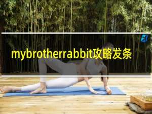 mybrotherrabbit攻略发条