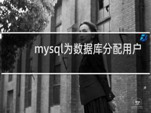 mysql为数据库分配用户