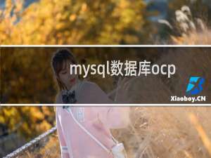 mysql数据库ocp