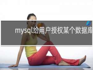 mysql给用户授权某个数据库