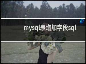 mysql表增加字段sql