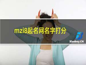 mzi8起名网名字打分